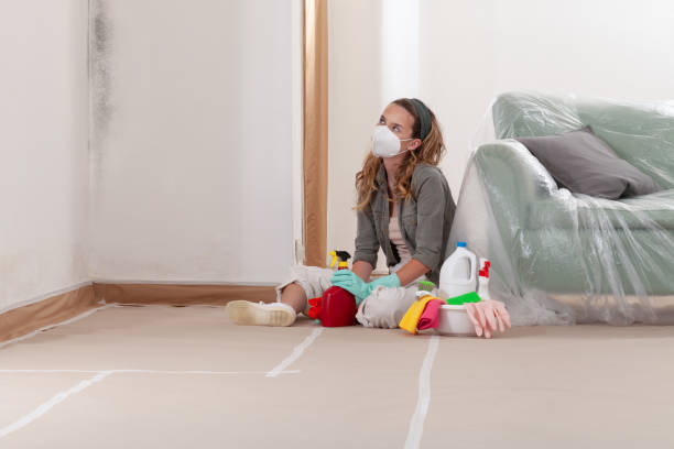Reliable Basement Mold Removal contractor in Auburn, IL by WQB Mold Removal